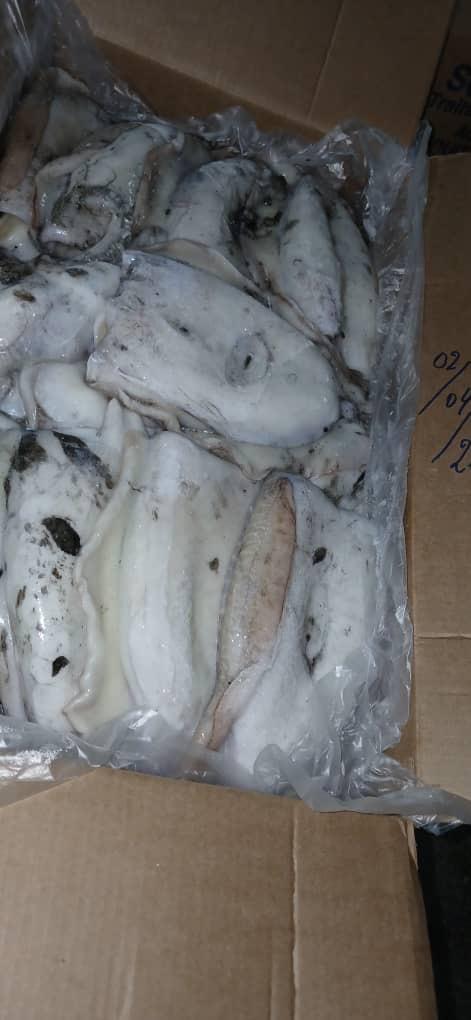 Packed cuttlefish boxes